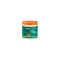 LUPOSAN  LUPO Gelenk 20 - Pulver 150g