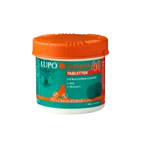 LUPOSAN  LUPO Gelenk 40 - Tabletten (200 Stk.) 0,4 kg
