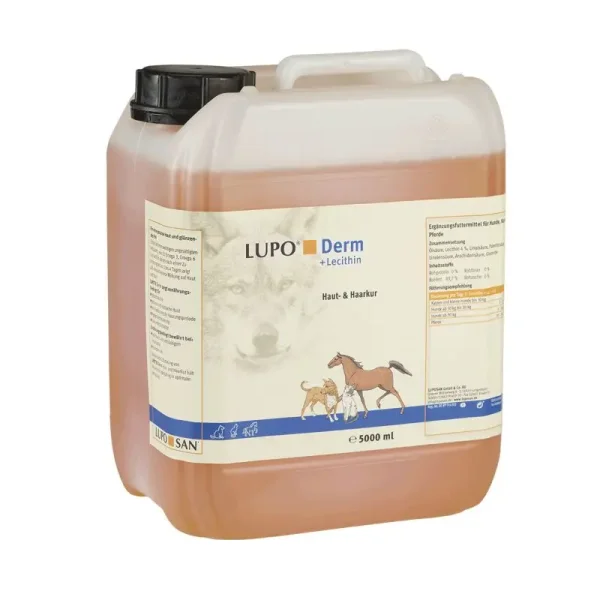 LUPOSAN  LUPO Derm 5000 ml